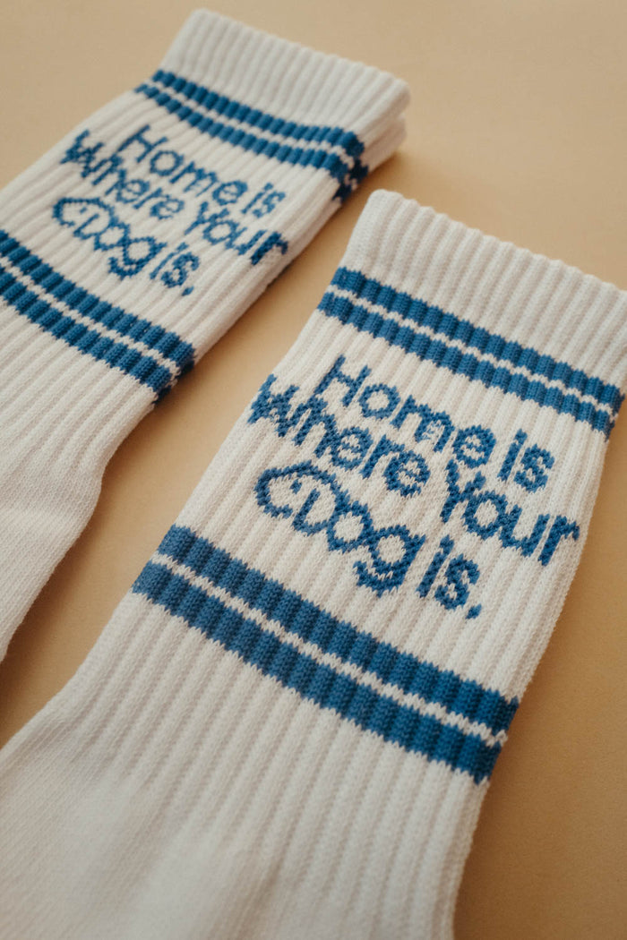 Home is Where Your Dog Is | Socks