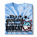 It's A Great Day- Tye Dye (Stars)- FUNDRAISER