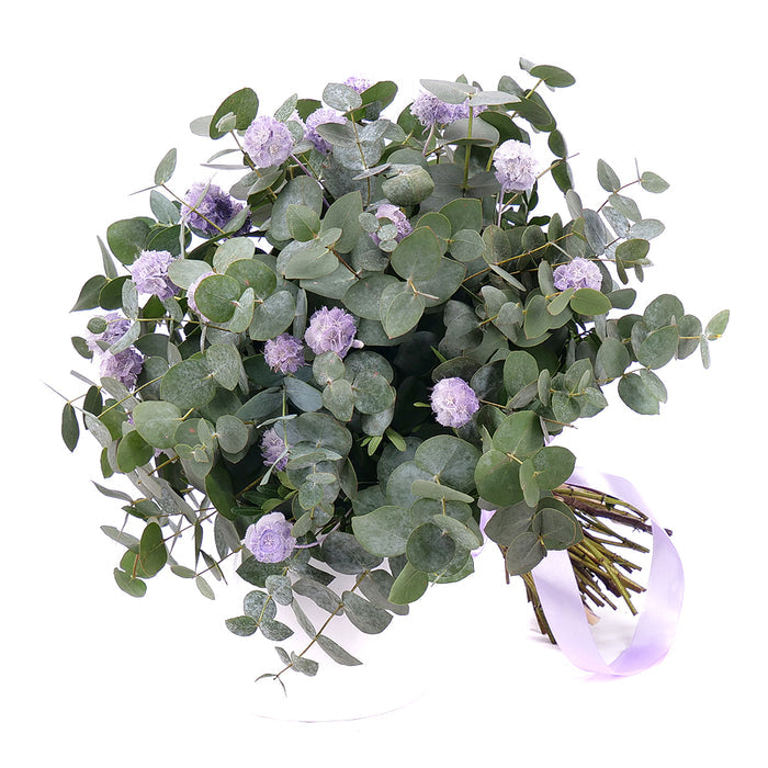 03101204_kytica-eukalyptus-in-eterno-fialova-scabiosa