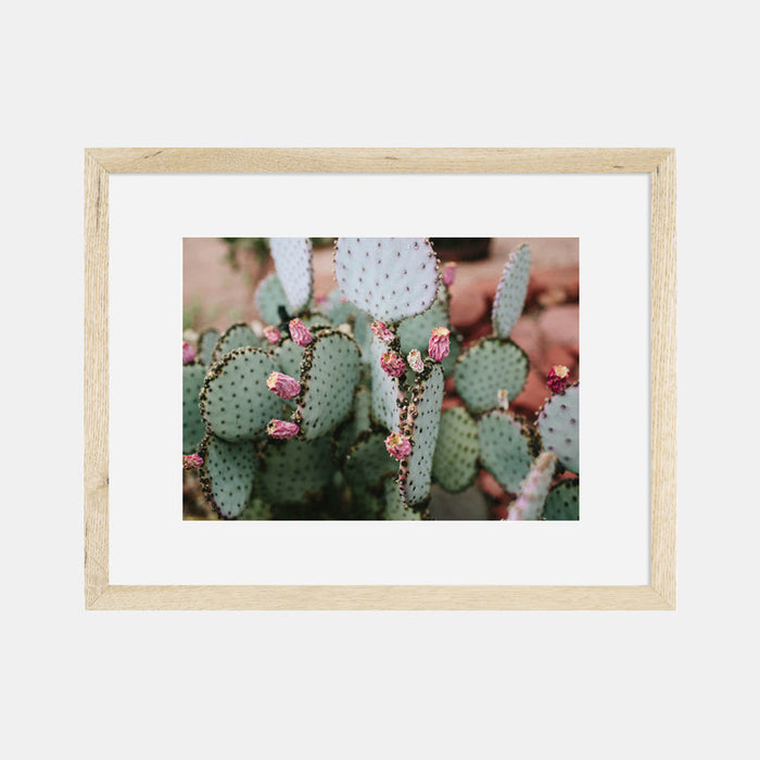 More Pricks Photographic Print by The Bee and The Fox