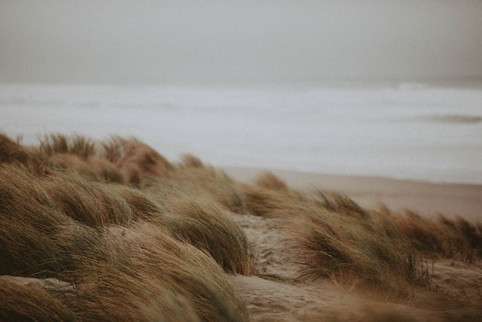 Ocean Beach Photographic Print by The Bee and The Fox