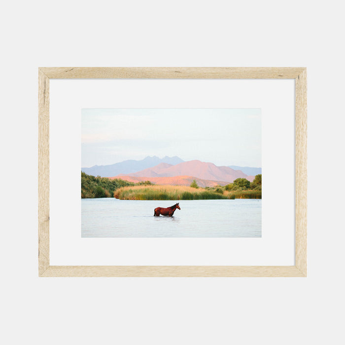 Photographic Print A Horse With No Name II by The Bee and The Fox
