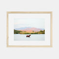 Photographic Print A Horse With No Name II by The Bee and The Fox