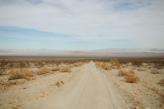 Photographic Print Dirt Road by The Bee and The Fox