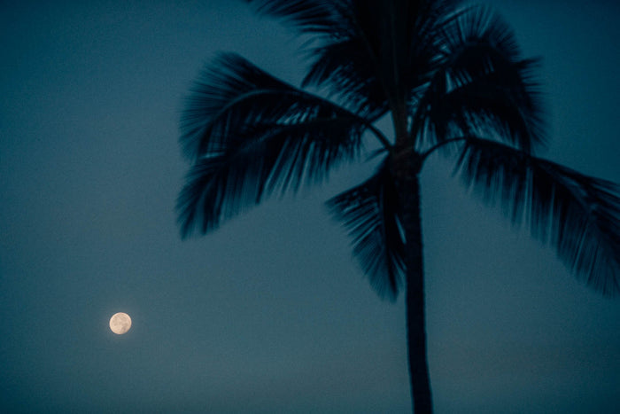 Photographic Print | Full Moon