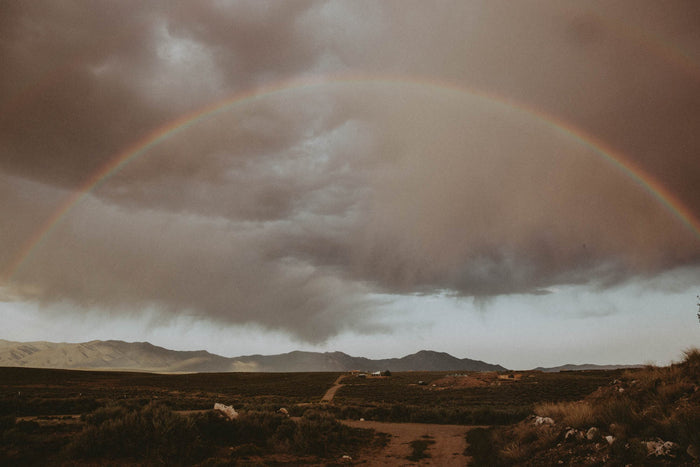 Photographic Print | Rainbow by The Bee and The Fox