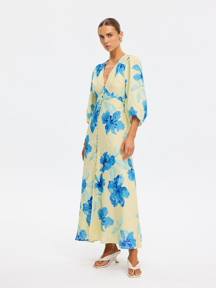 Sophie Maxi Dress