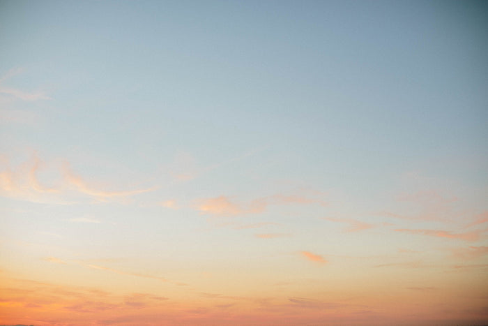 Summer Fade Photographic Print by The Bee and The Fox