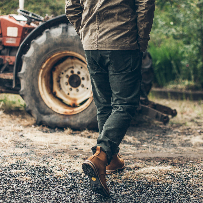 Our fit model