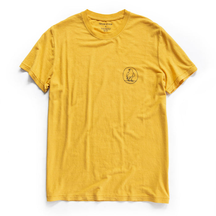 flatlay of shirt