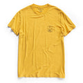 flatlay of shirt