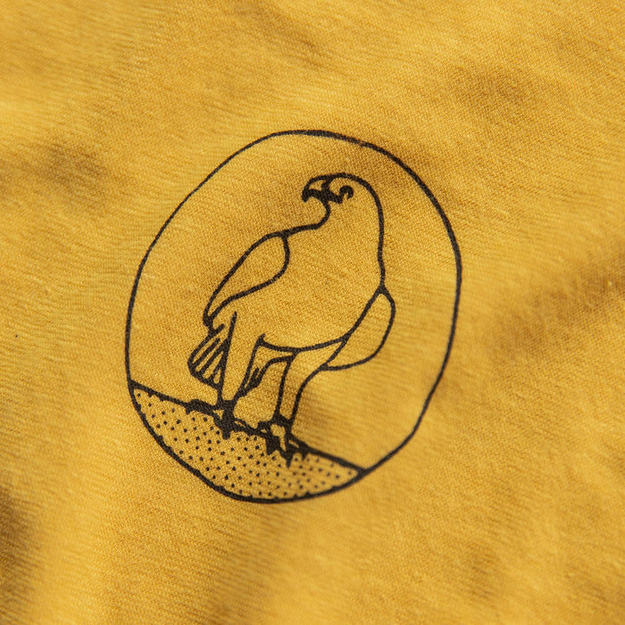 material shot of graphic