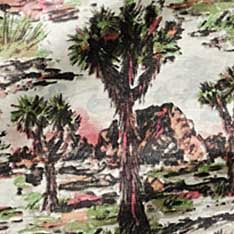 color swatch of The Davis Shirt in Desert Sunset