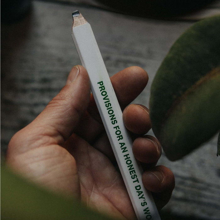 editorial image of model holding The Good Acre Carpenter Pencil (3-Pack)