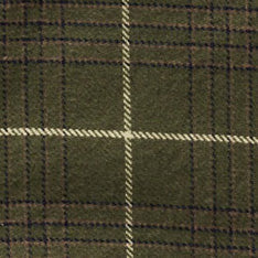 color swatch of The Ledge Shirt in Olive Plaid