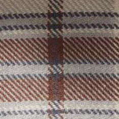 Color swatch of The Ledge Shirt in Redwood Plaid