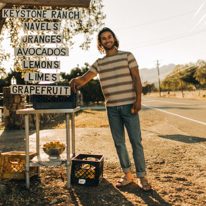 fit model standing by a fruit stand in The Organic Cotton Tee in Seagrass Stripe